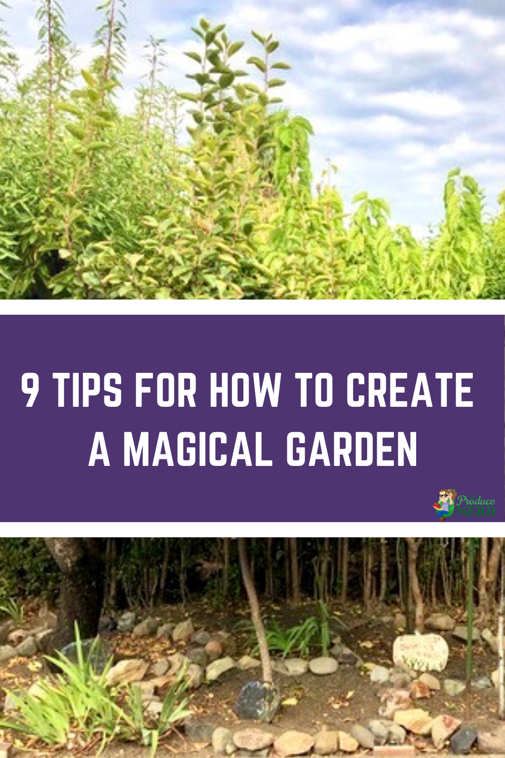 Read more about the article Garden Inspiration: The Journey to Creating a Magical Garden