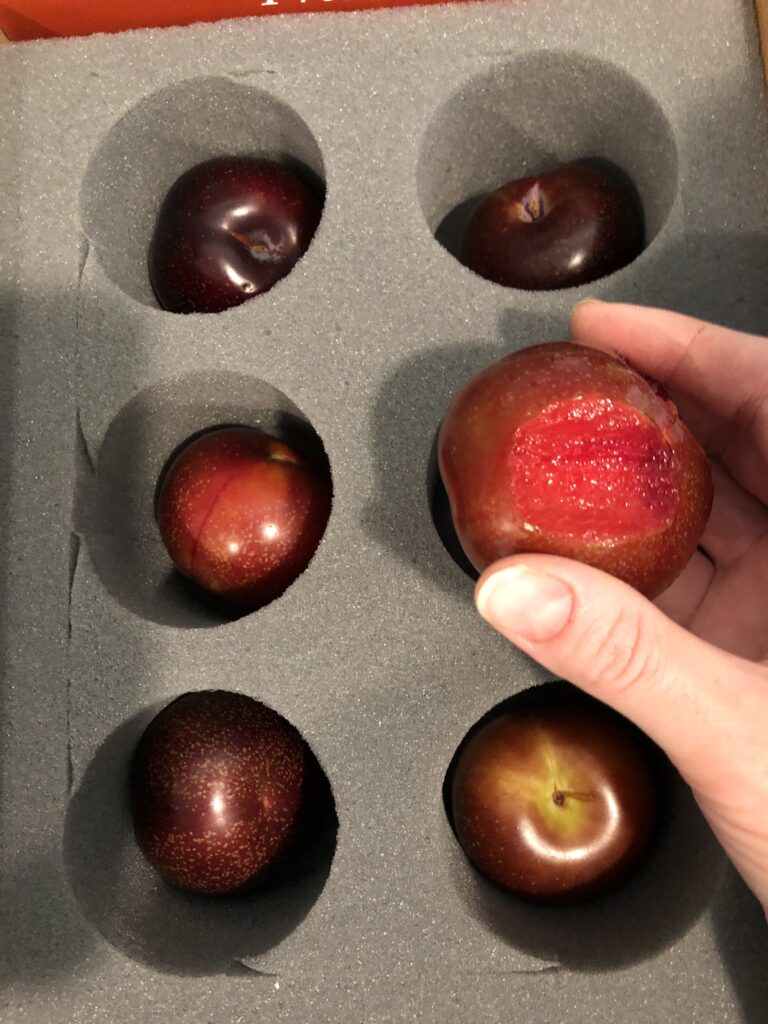 Plumsicle