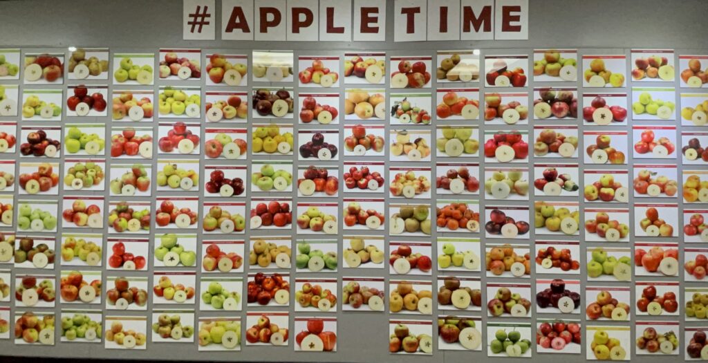 Specialty Produce Fruit and Vegetable Museum - Apple Wall