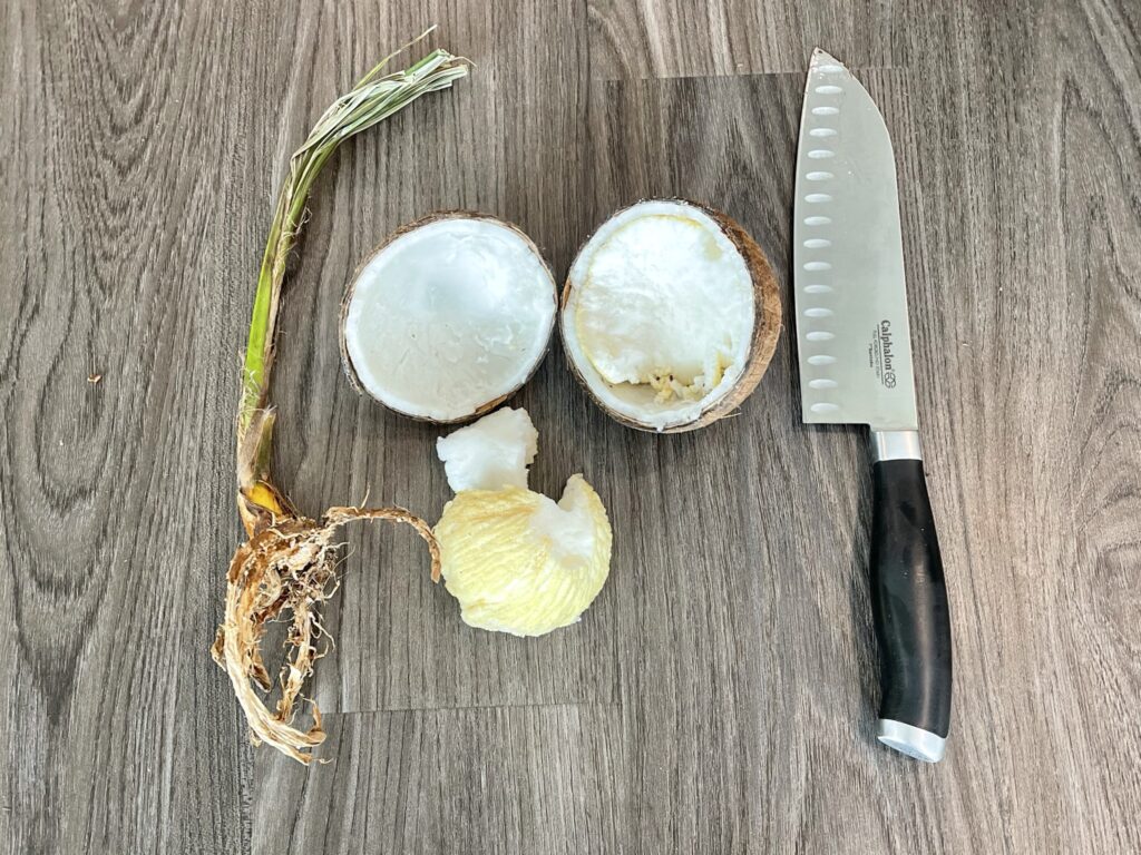 Knife to Cut the Sprouted Coconut