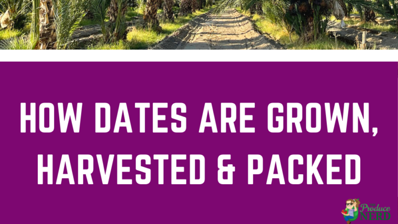 Dates