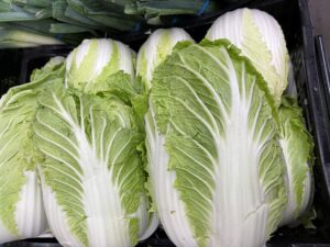 Napa cabbage leaf damage