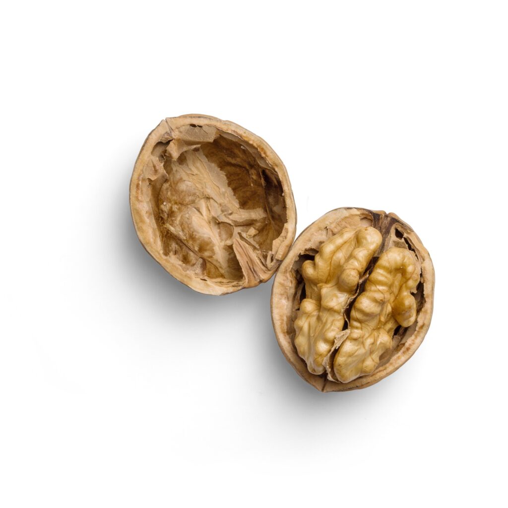 Walnuts in shell