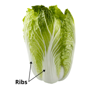 napa cabbage