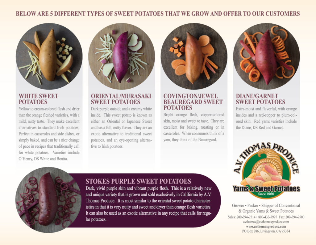 Different Sweet Potato Varieties