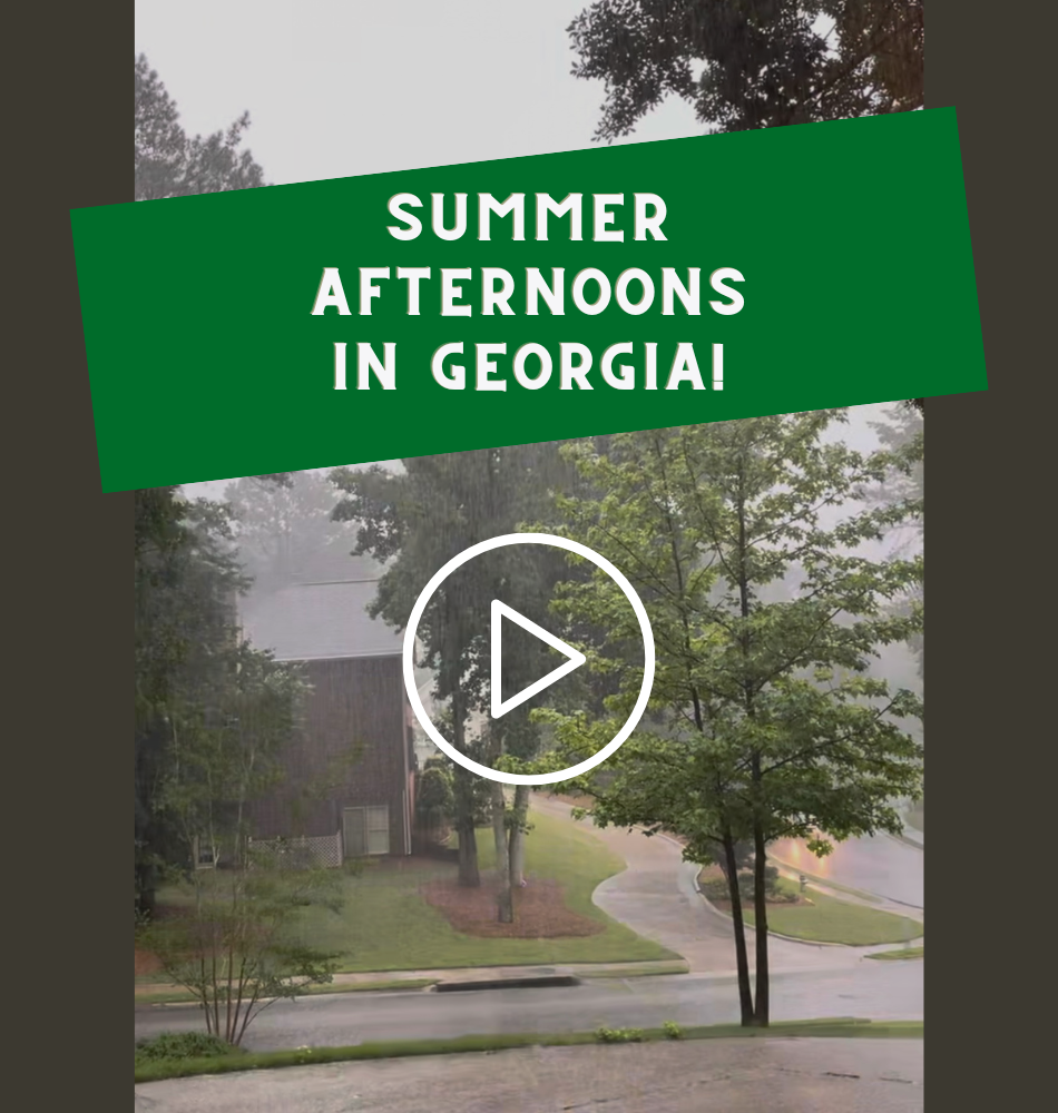 Summer Afternoons in Georgia