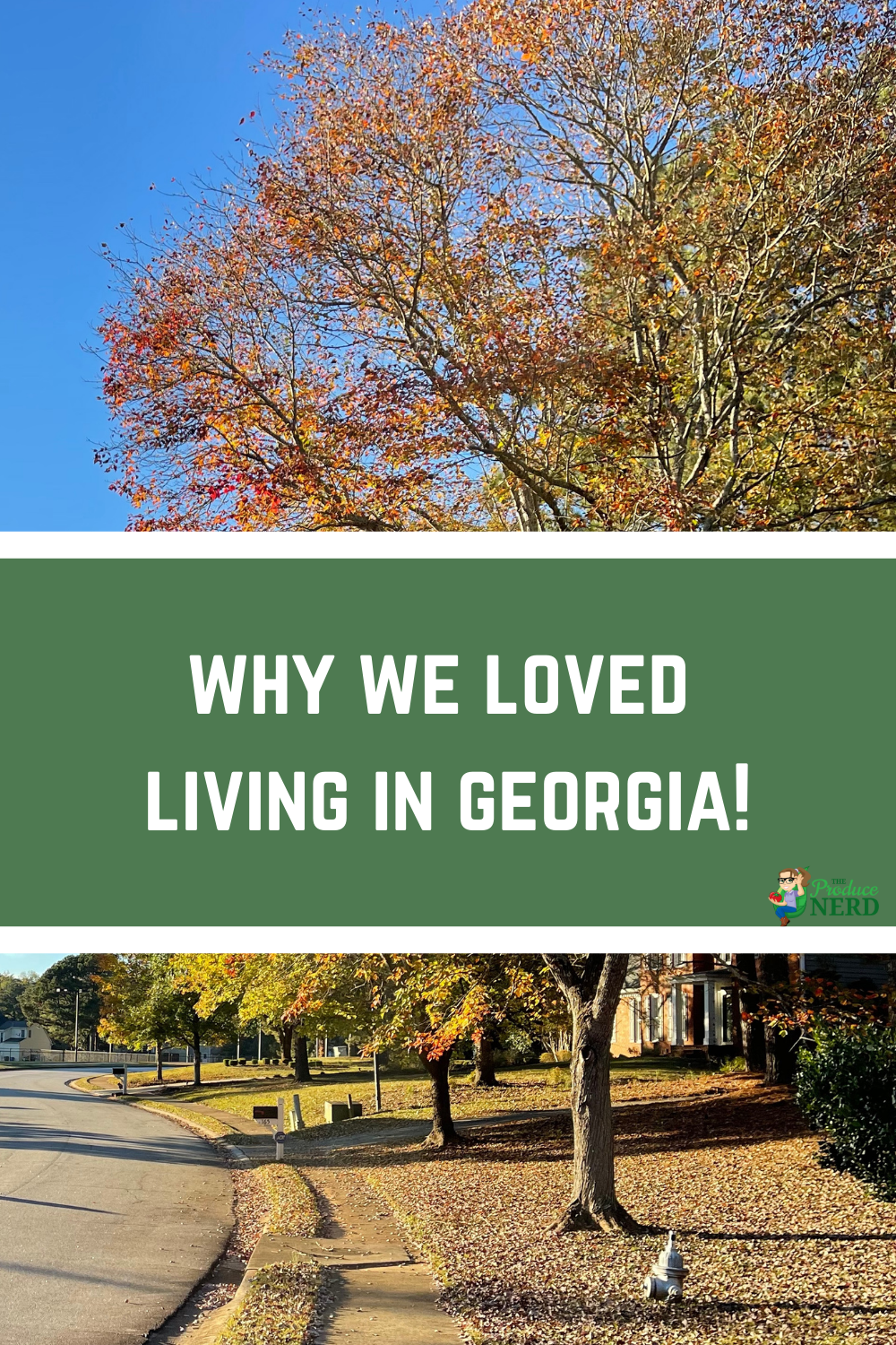 Read more about the article I Moved to Georgia from California. Here’s 13 Reasons Why I Love Living in Georgia.