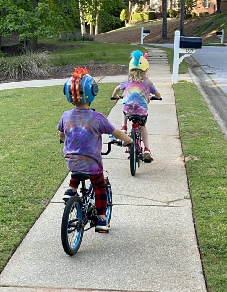 Guardian bikes
