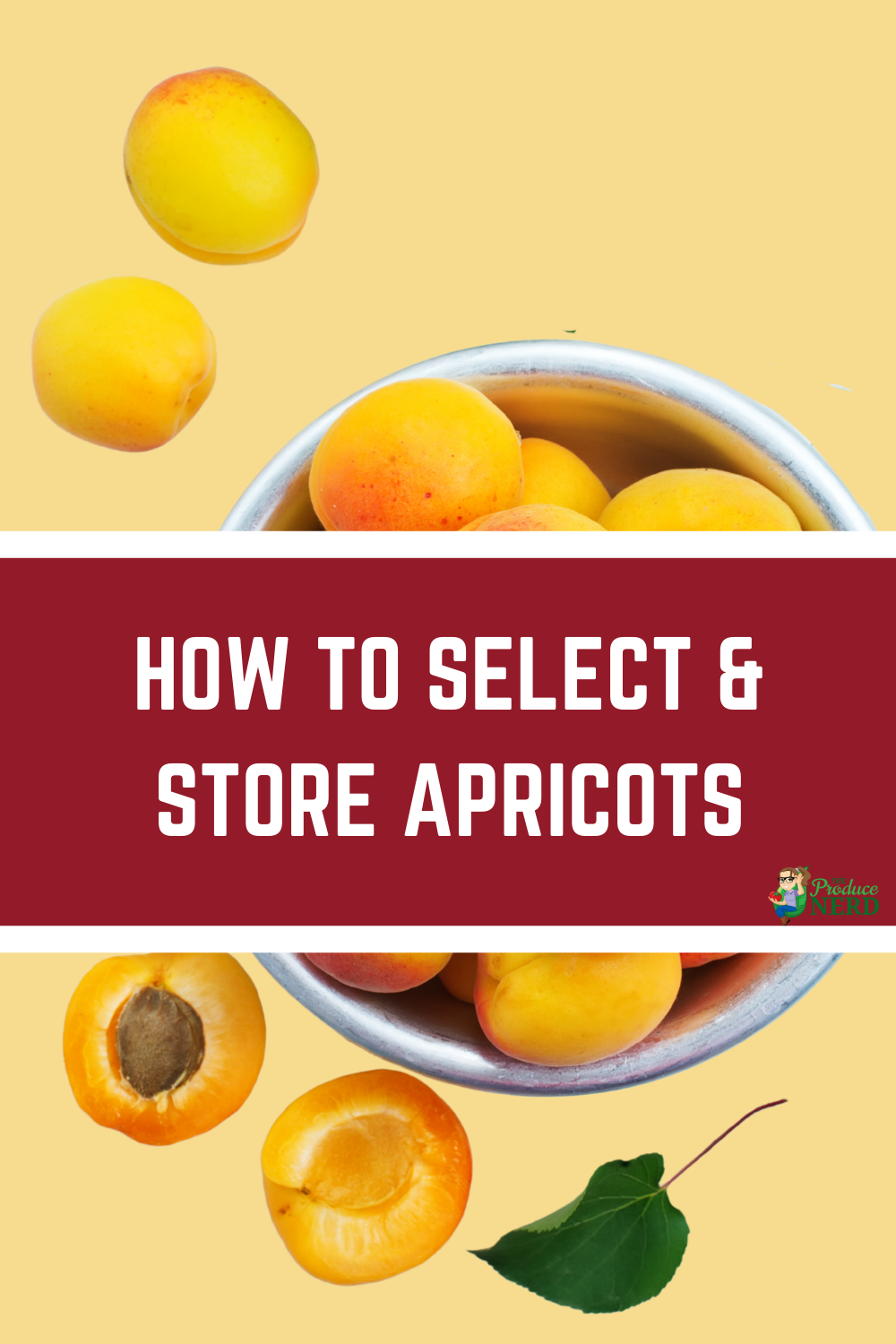 Read more about the article How to Select & Store Apricots