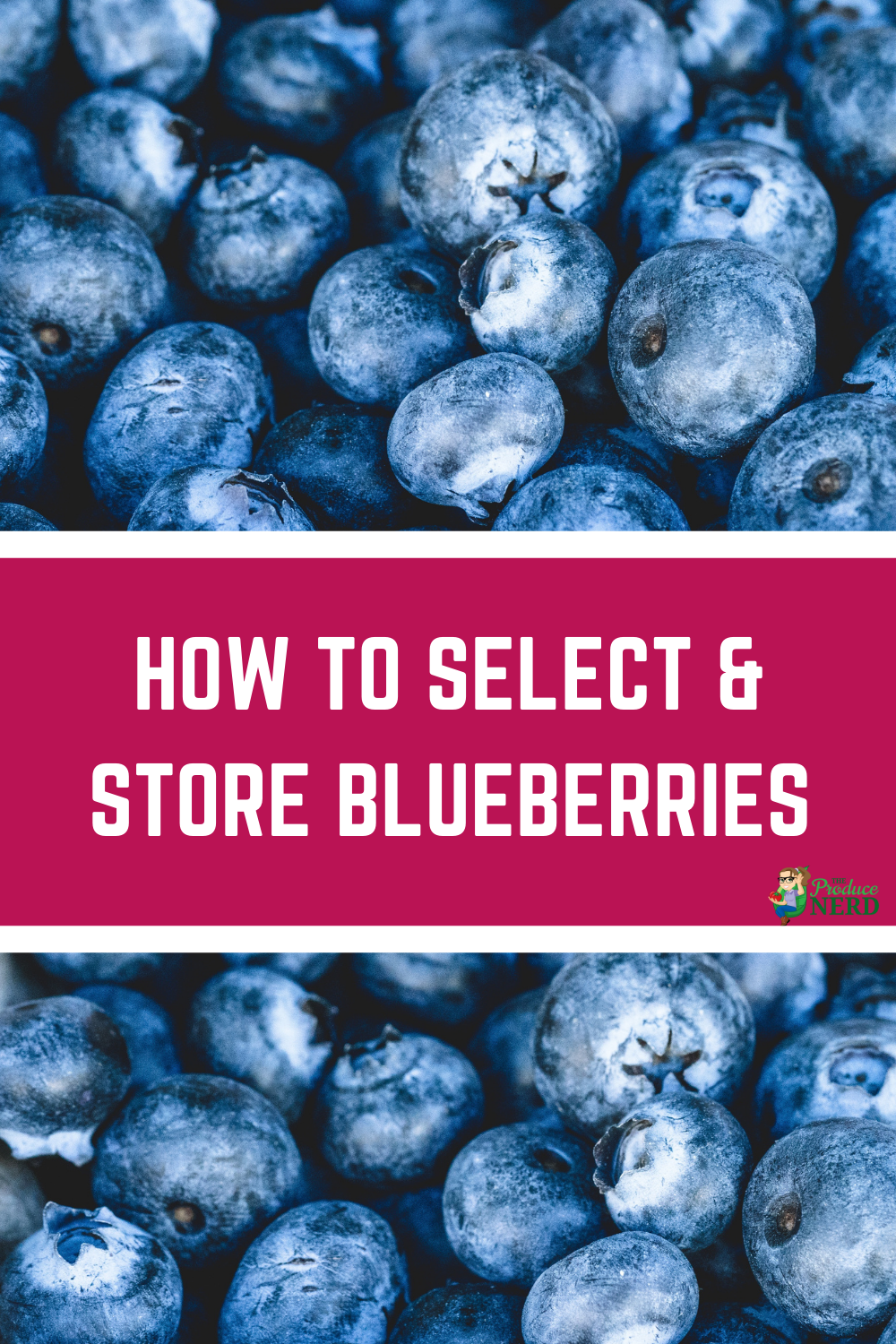 Read more about the article How to Select & Store Blueberries