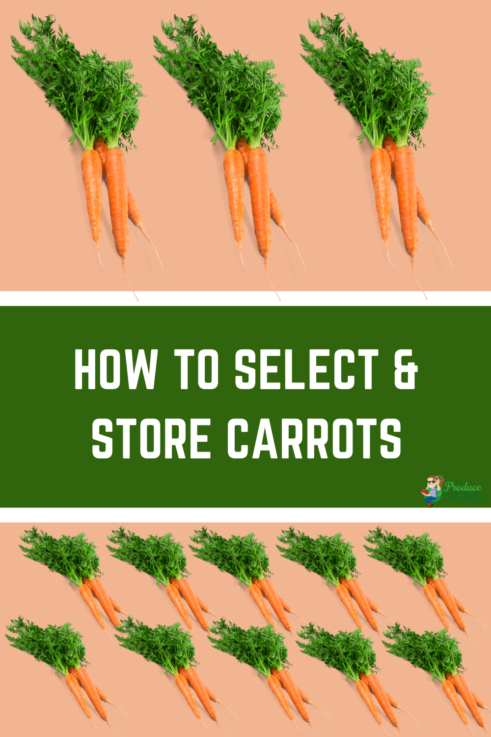 Read more about the article How to Select & Store Carrots