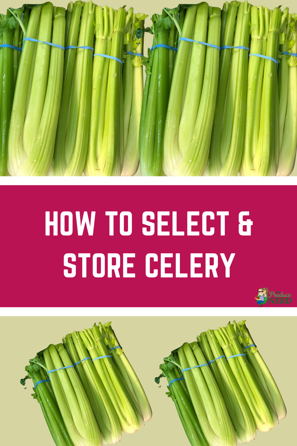 Read more about the article How to Select & Store Celery