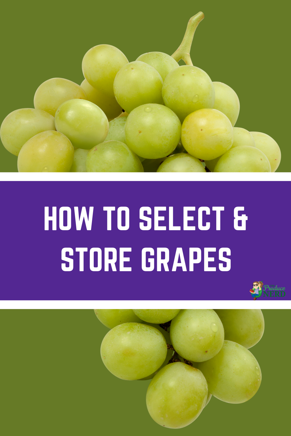 Read more about the article How to Select & Store Grapes