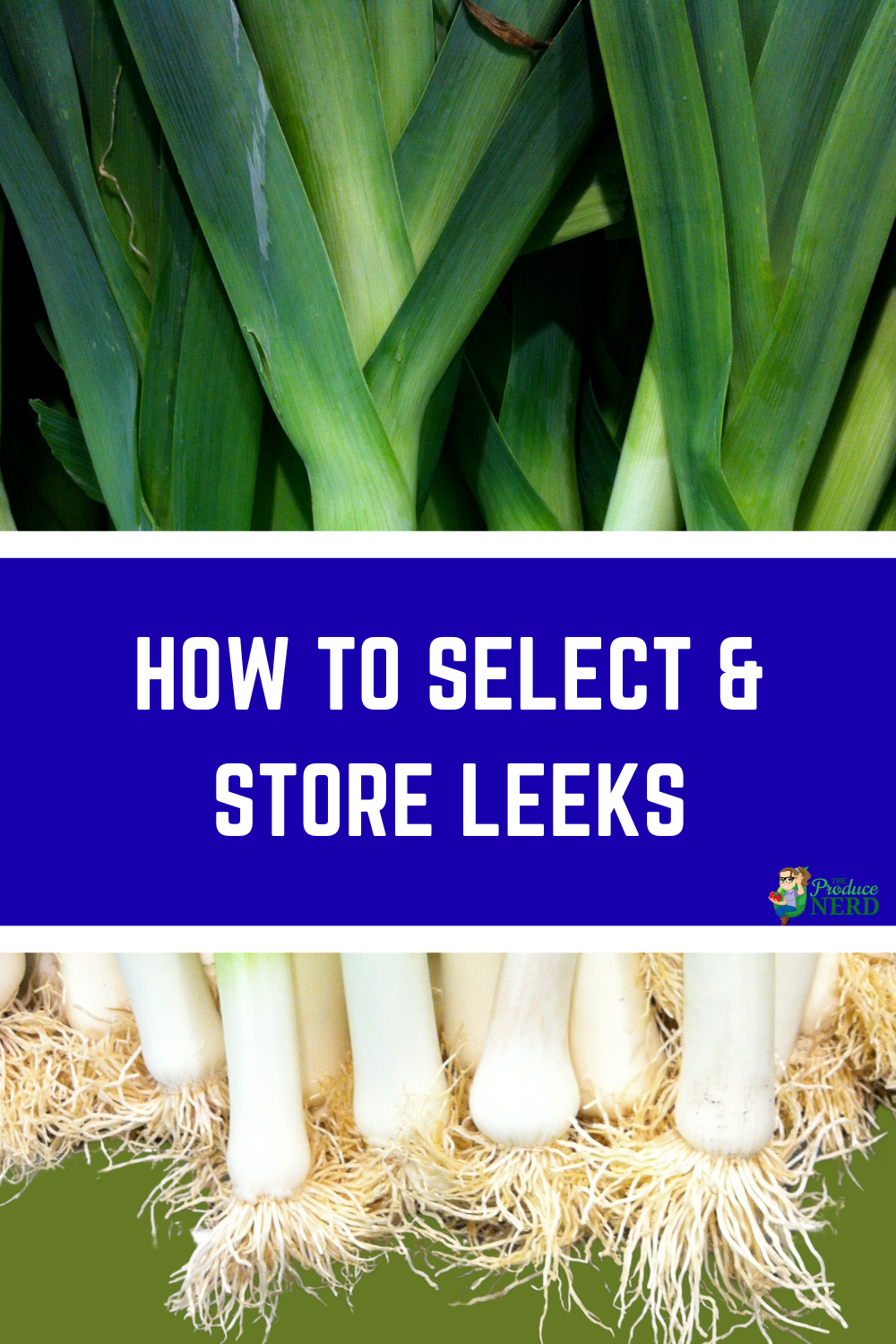 Read more about the article How to Select & Store Leeks