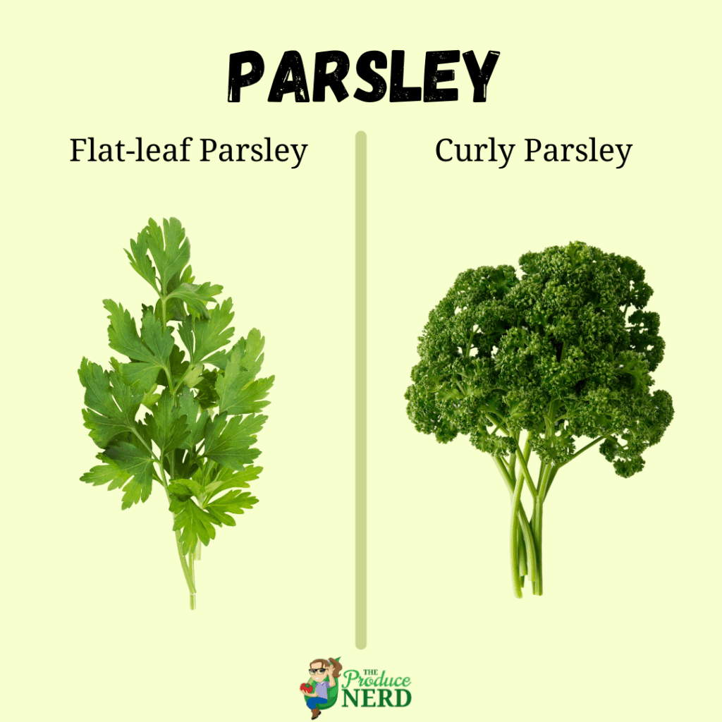 Flat leaf vs Curly Parsley