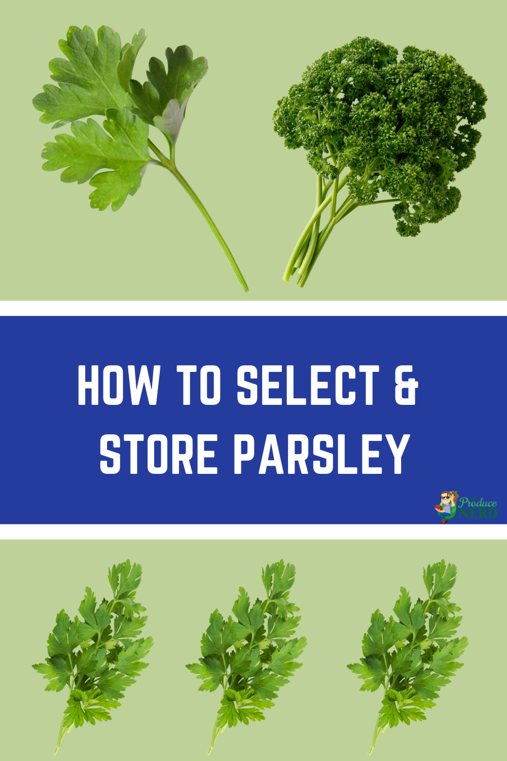 Read more about the article How to Select & Store Parsley