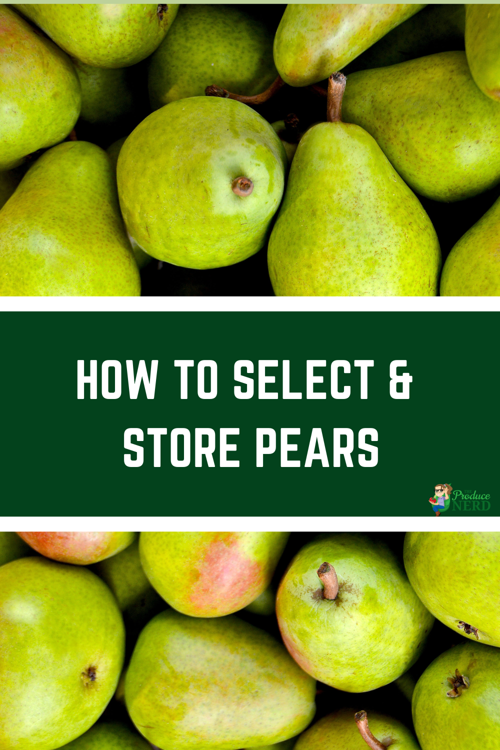 Read more about the article How to Select & Store Pears