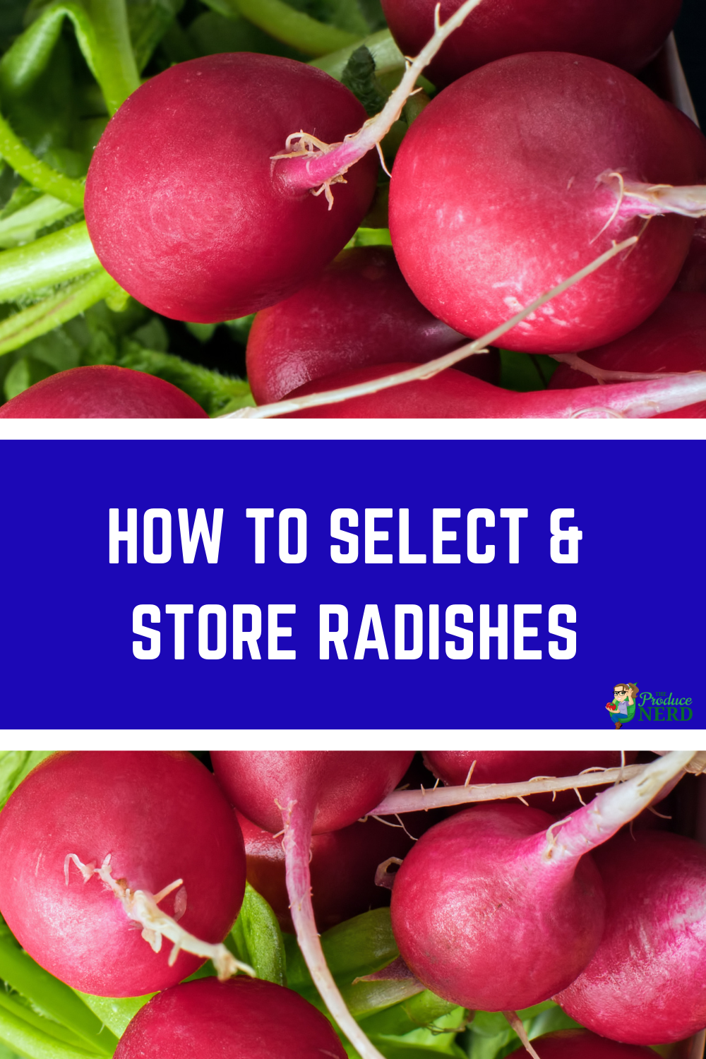 Read more about the article How to Select & Store Radishes